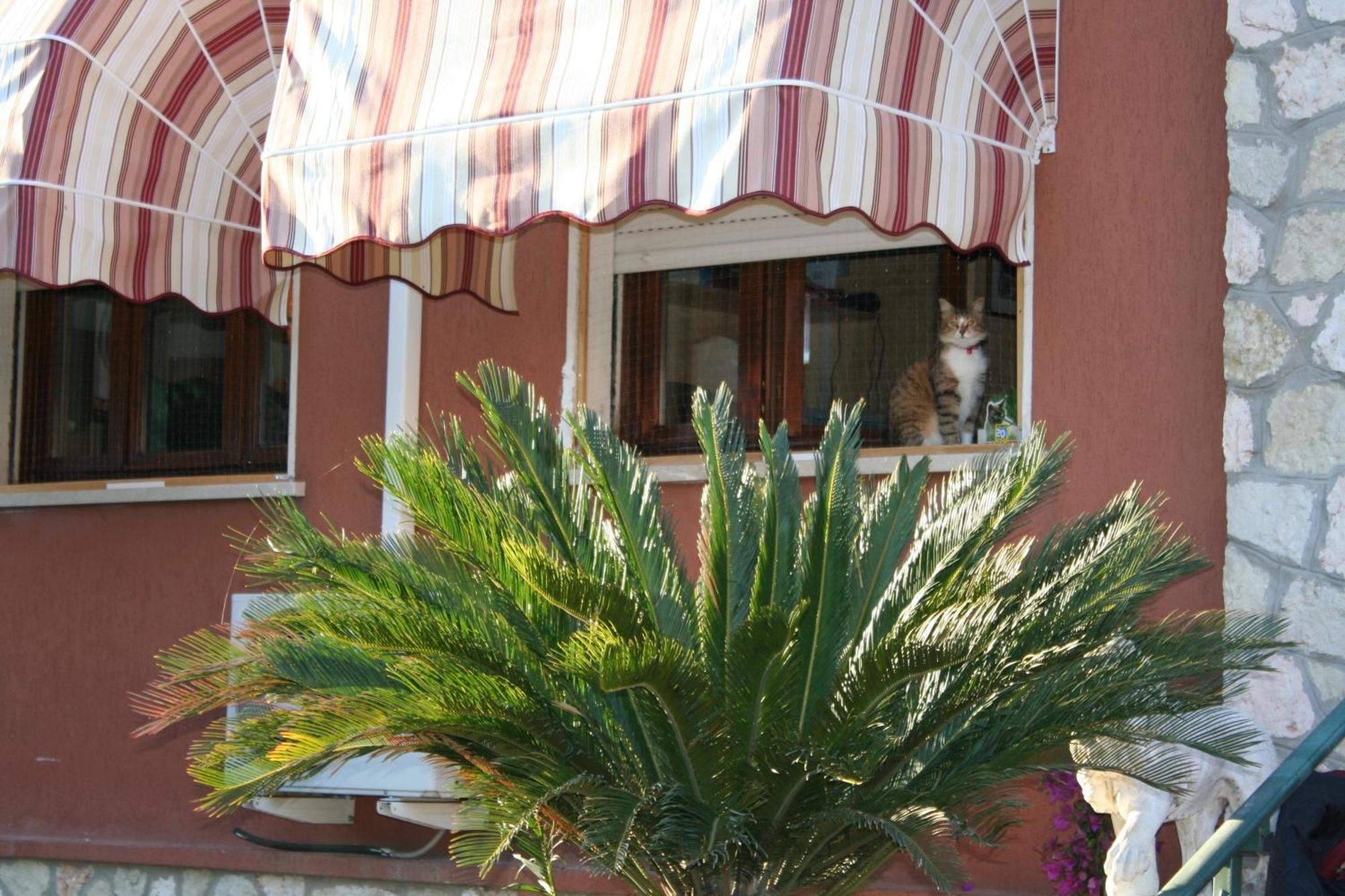 Couette-café Desenzano